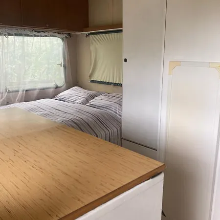 Shanti, Relax Tra I Ciliegi Glamping