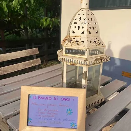 Shanti, Relax Tra I Ciliegi *