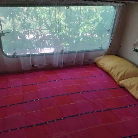 Shanti, Relax Tra I Ciliegi