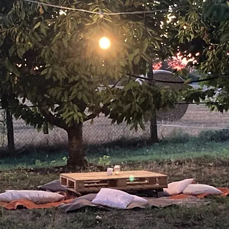 Shanti, Relax Tra I Ciliegi