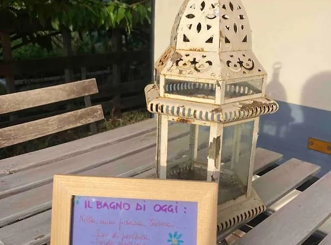 Shanti, Relax Tra I Ciliegi *