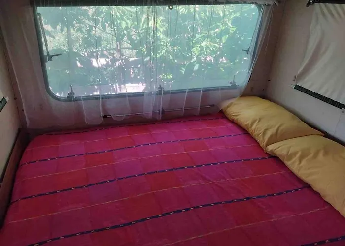 Shanti, Relax Tra I Ciliegi