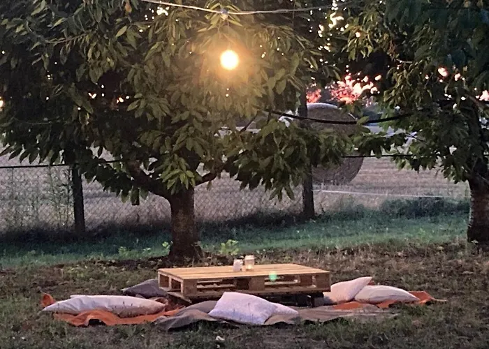 Shanti, Relax Tra I Ciliegi