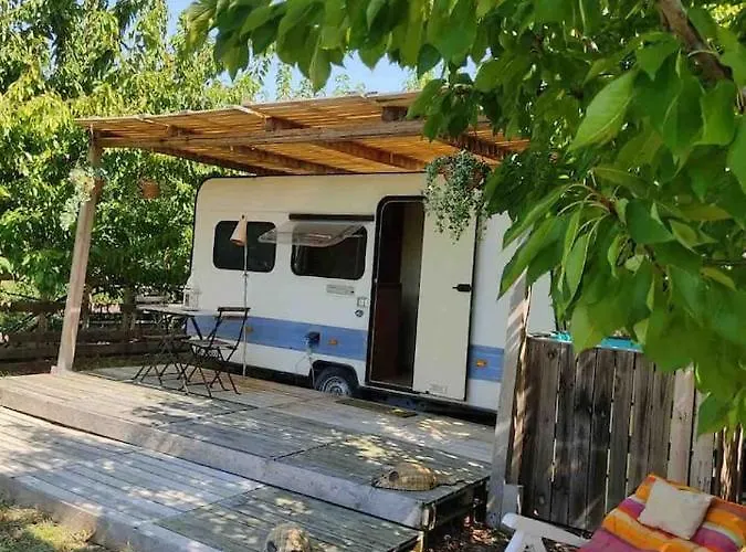 Shanti, Relax Tra I Ciliegi