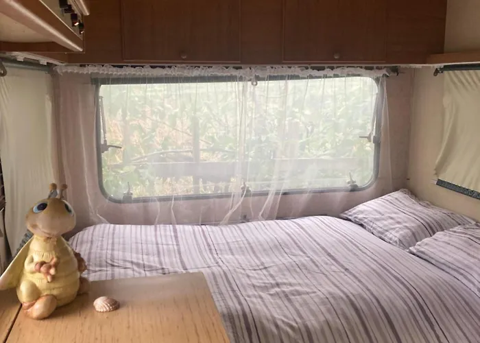 Shanti, Relax Tra I Ciliegi Роскошный шатер Креспеллано